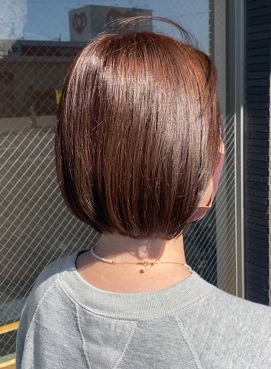 ミニボブ×バイオレット